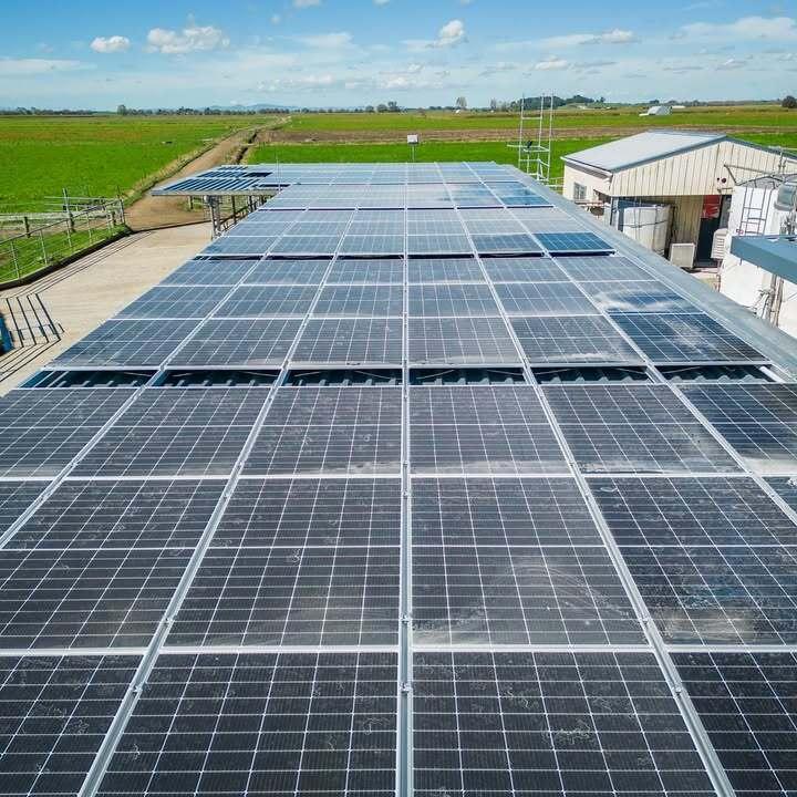 Photo of an array of solar panels on a farm on a bright sunny day